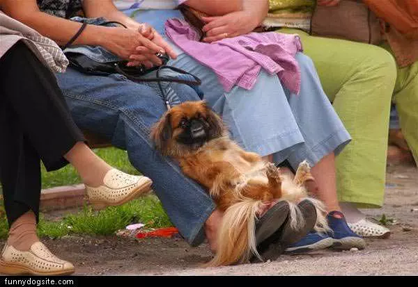 Chilling Out