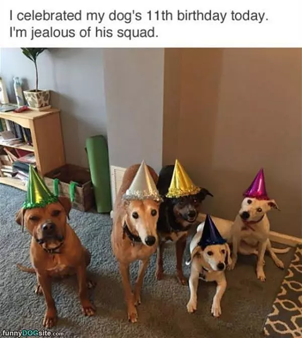 11th Birthday Today