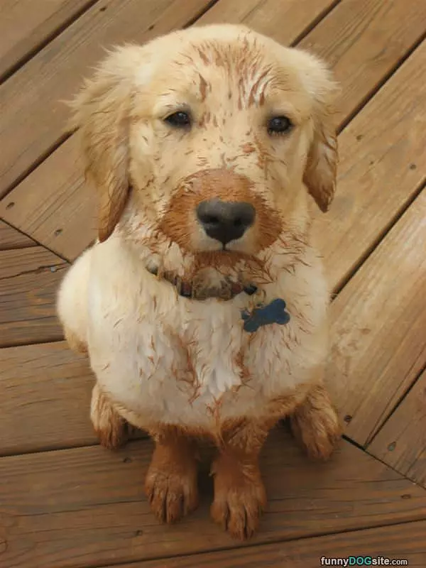 I Was Playing In The Mud