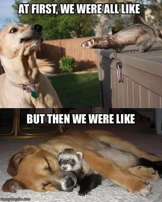 At First But Then