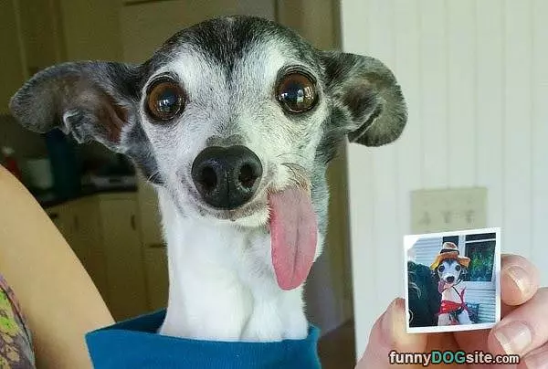 My Derppy Tongue