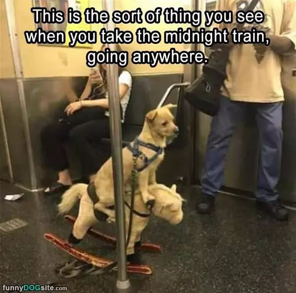 The Midnight Train