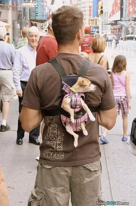 Going For A Walk