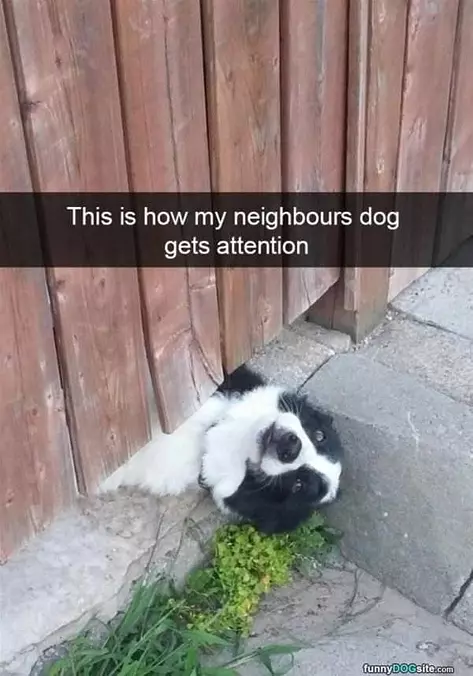 How I Get Attention