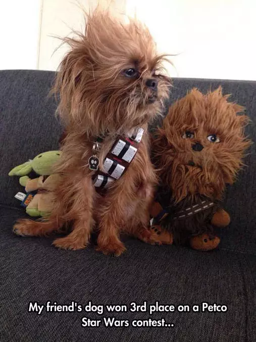 Petco Star Wars Contest