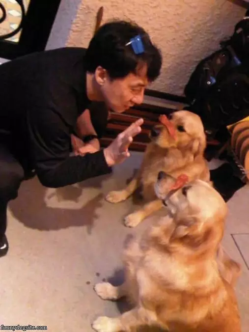 Jackie Chans Dog Tricks