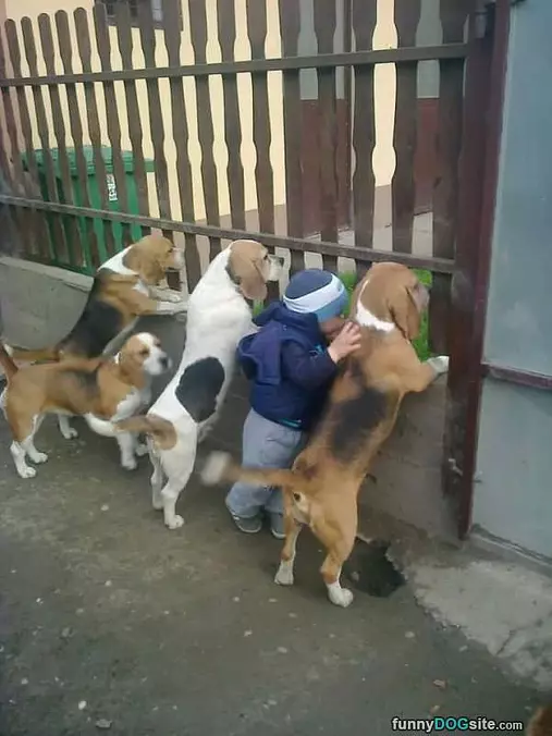 Whats Out There