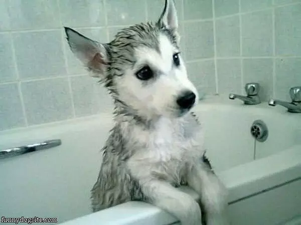 I Dont Want A Bath