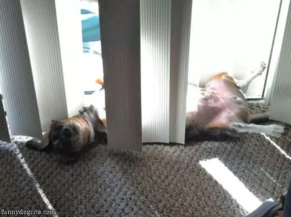 Nap Where I Want