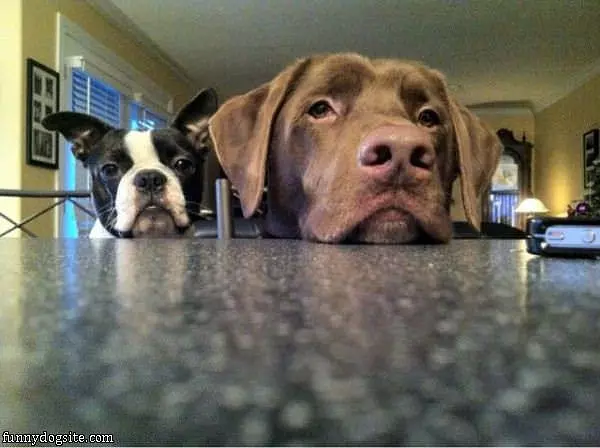 We Are Watching You Ok