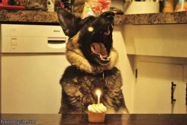 I So Do Love Birthdays