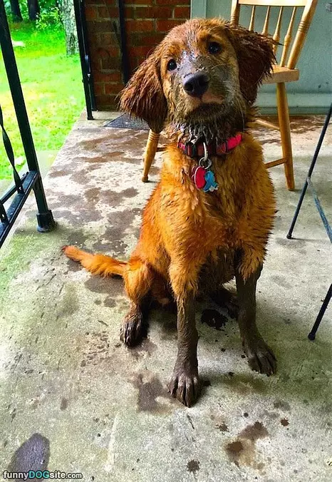 Muddy Days