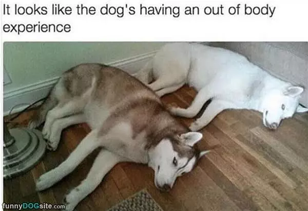 Out Of Body Experience