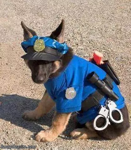 Cop Dog
