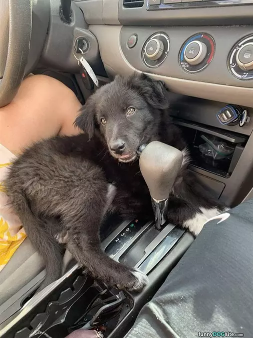Ready For A Ride