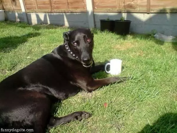 Having My Coffee