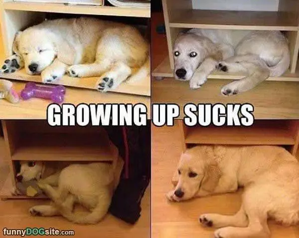Growing Up