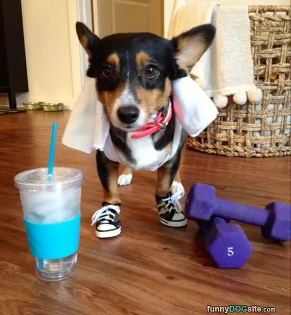 Dressed For Working Out