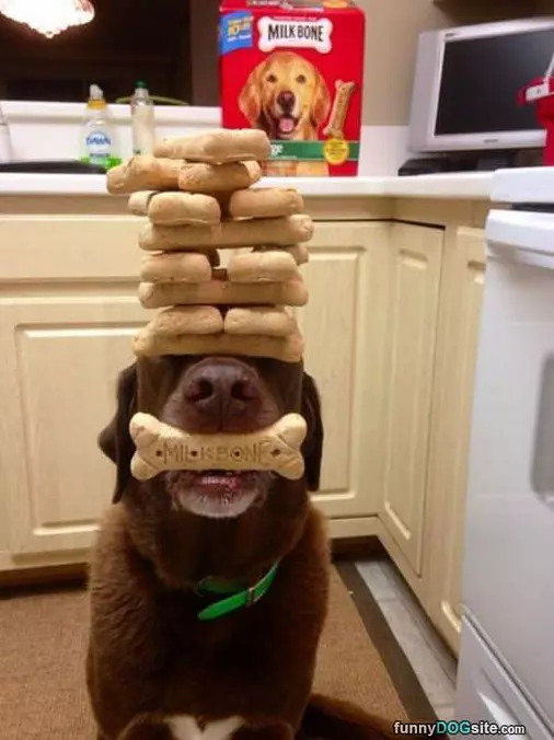 Can Stack Forever