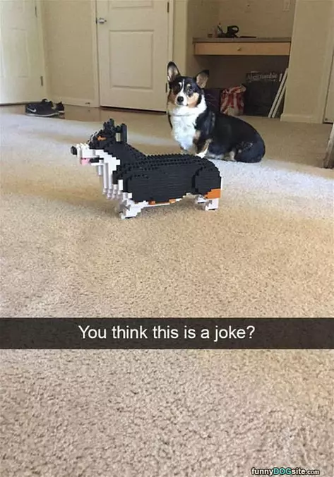 You Think This Is A Joke