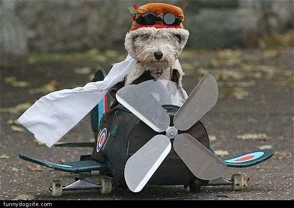 Pilot