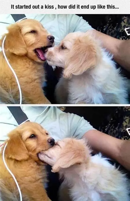 Started Out As A Kiss