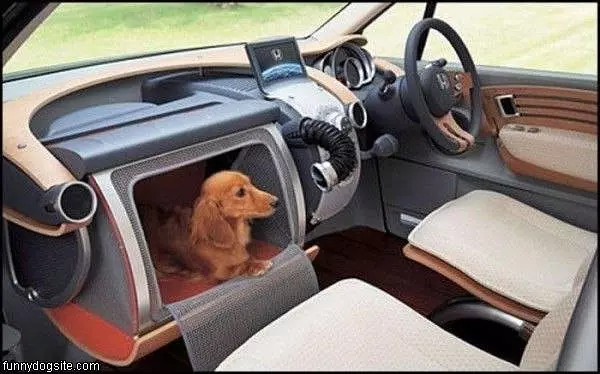 Travels In Style