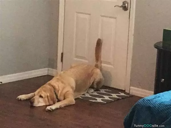 Against The Door