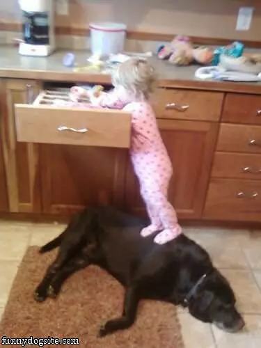 Step Stool