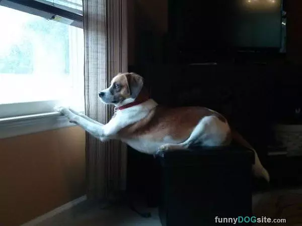 Watching The Outside