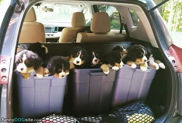 Truckload
