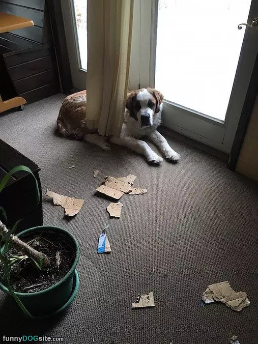 Was Not Me