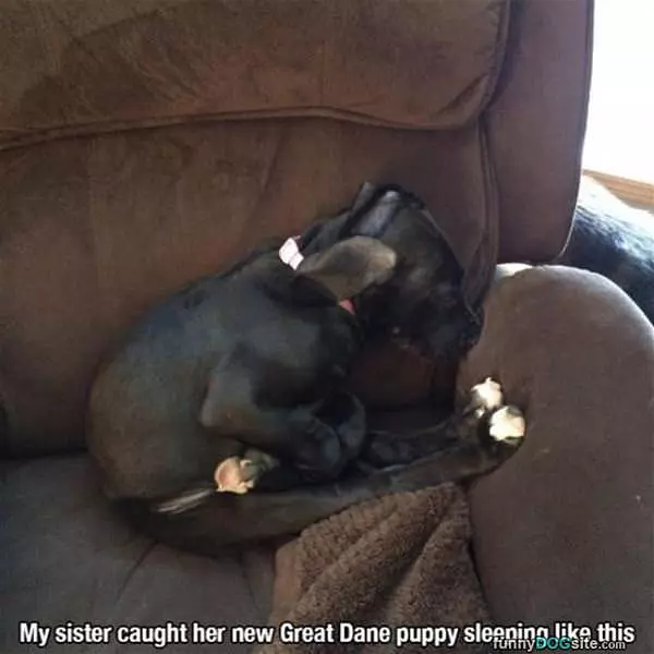 I Sleep How I Want