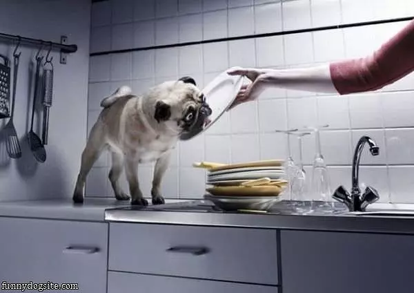 Dishwasher