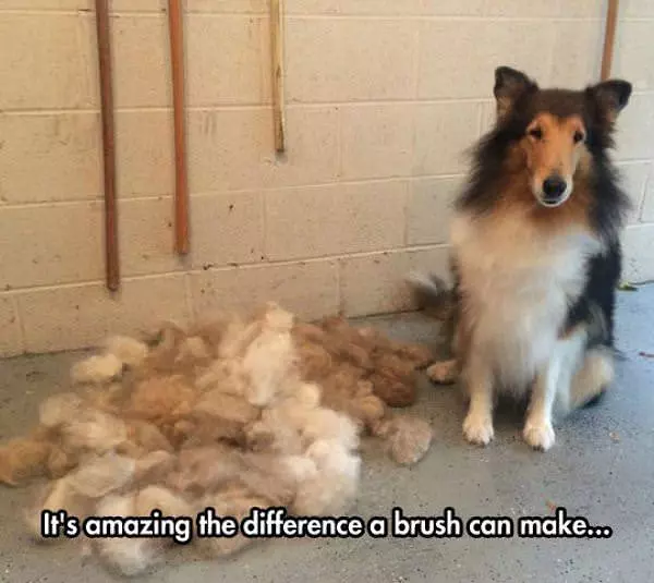 The Difference