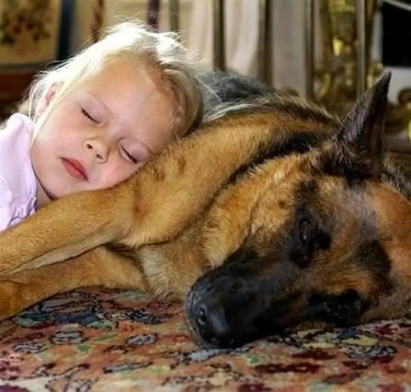 Napping Together