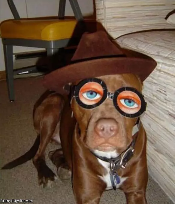 Im A Witch
