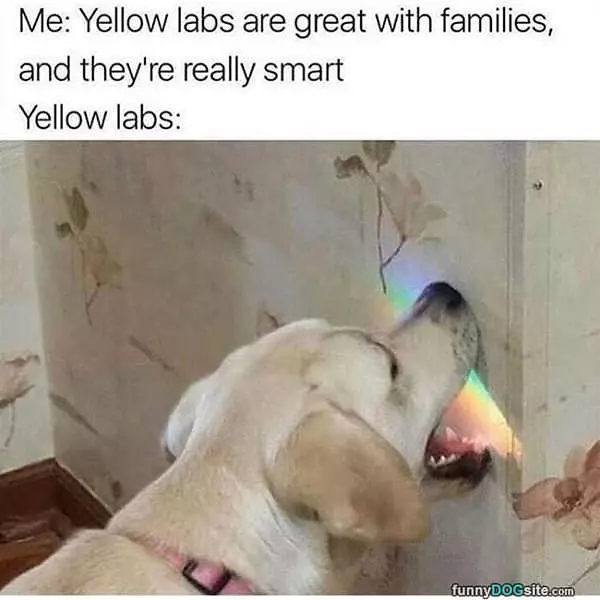 They Are Really Smart