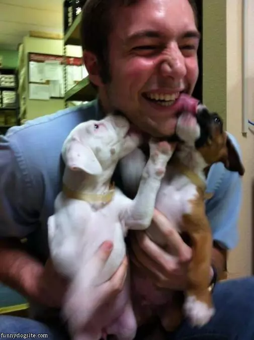 Pupppiiiiiesssss