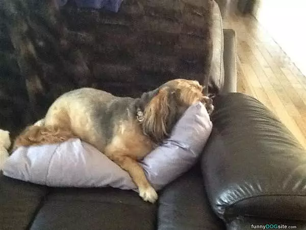 Very Relaxing Bed