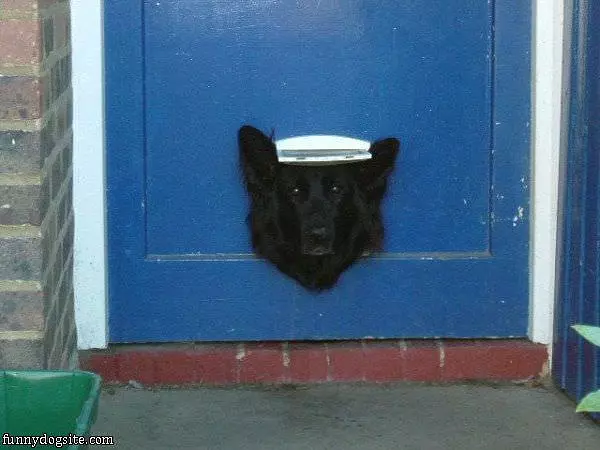 I Protect This Home