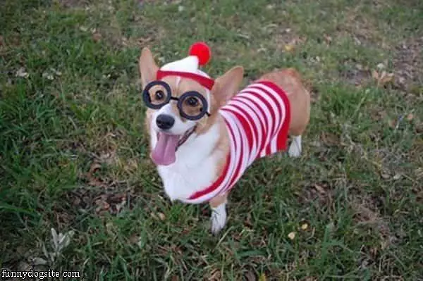 Waldo
