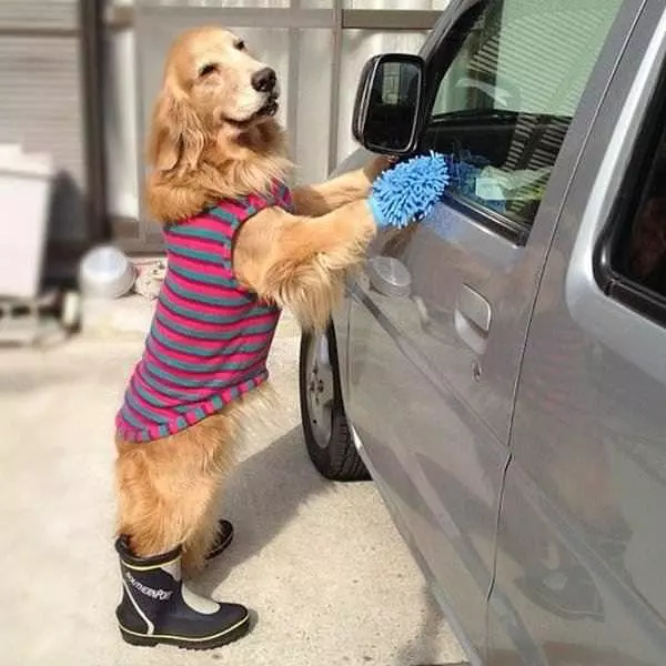 At The Car Wash