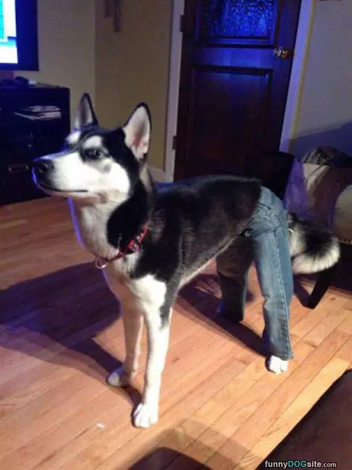 Got My Pants On