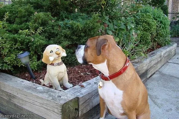 What Are You Looking At