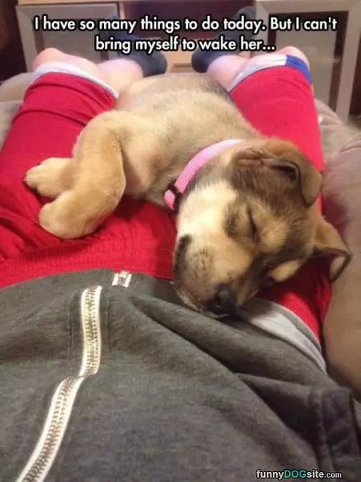 Cannot Wake Her
