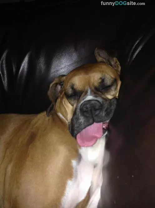 So Passed Out