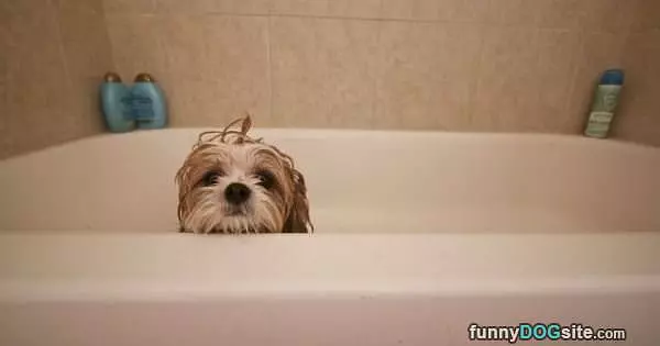 Chillin In Da Tub