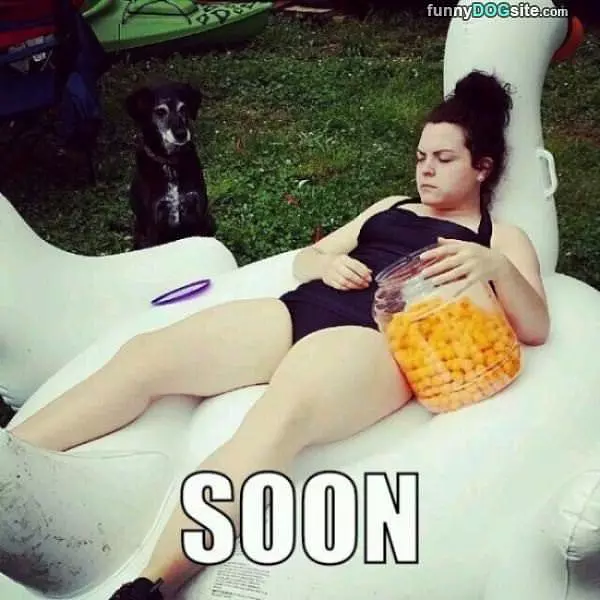 I Want Those Cheese Puffs