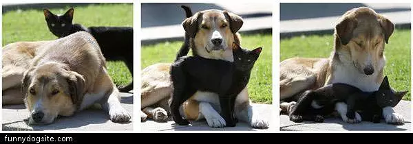 Close Friends